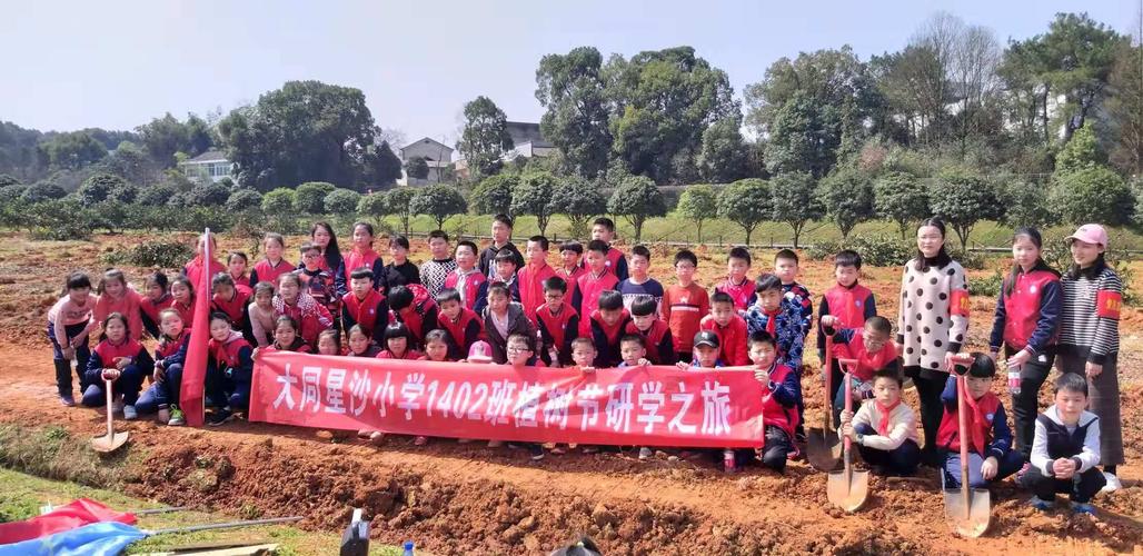 研学网平台